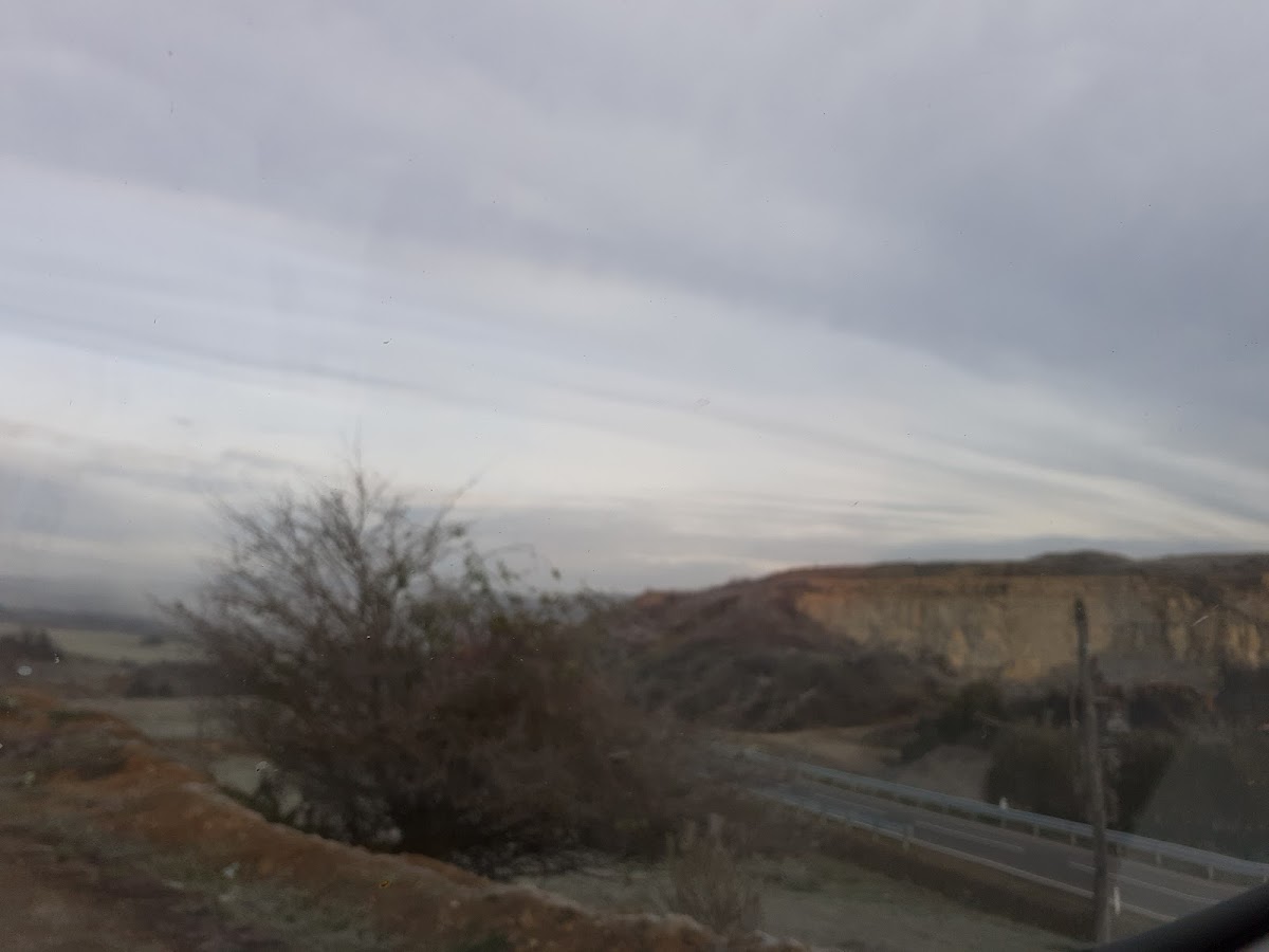 Bosque cerca de Vălenii Lăpuşului - foto 3