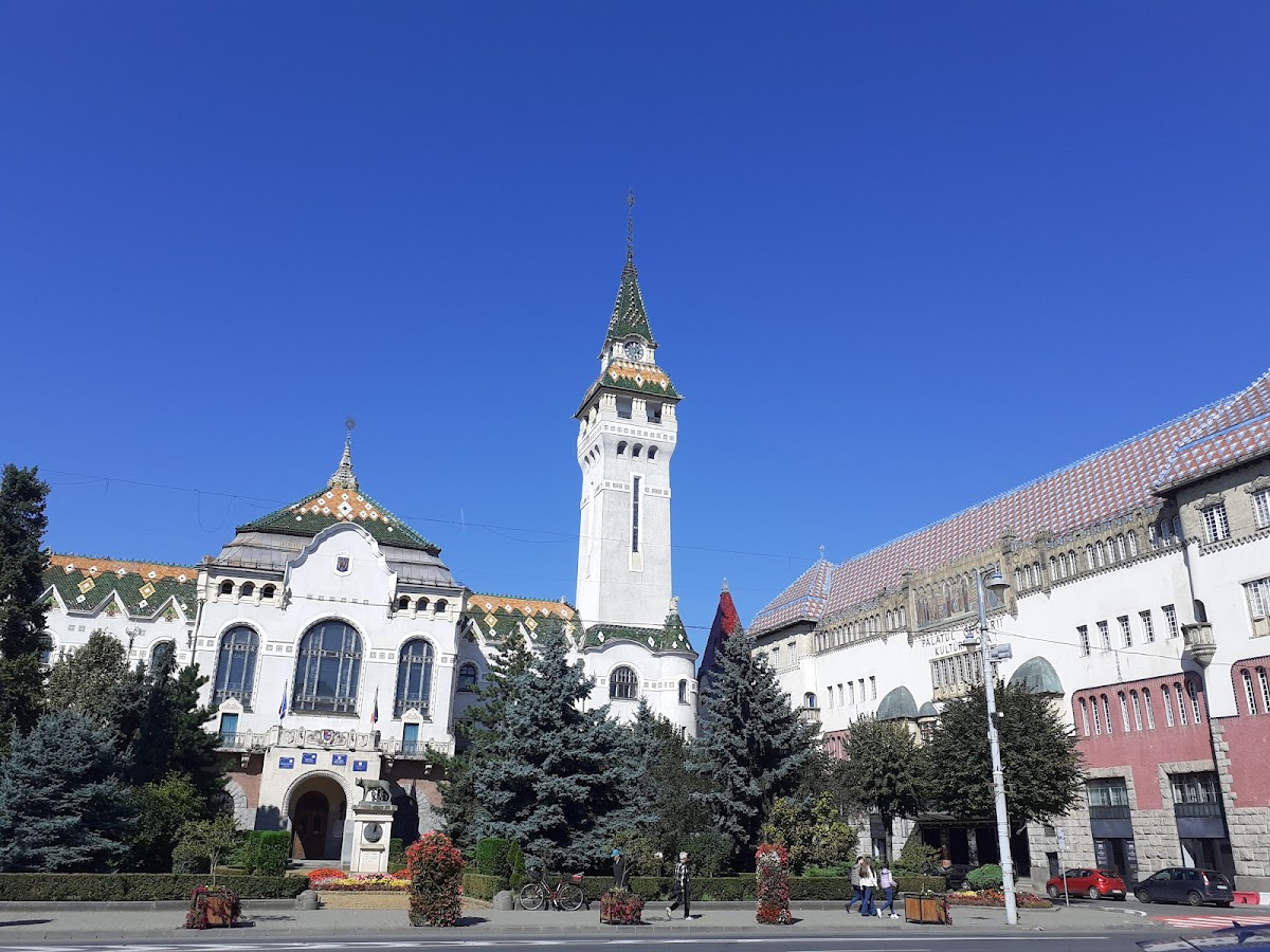 Palatul Culturii Targu Mures - foto 4