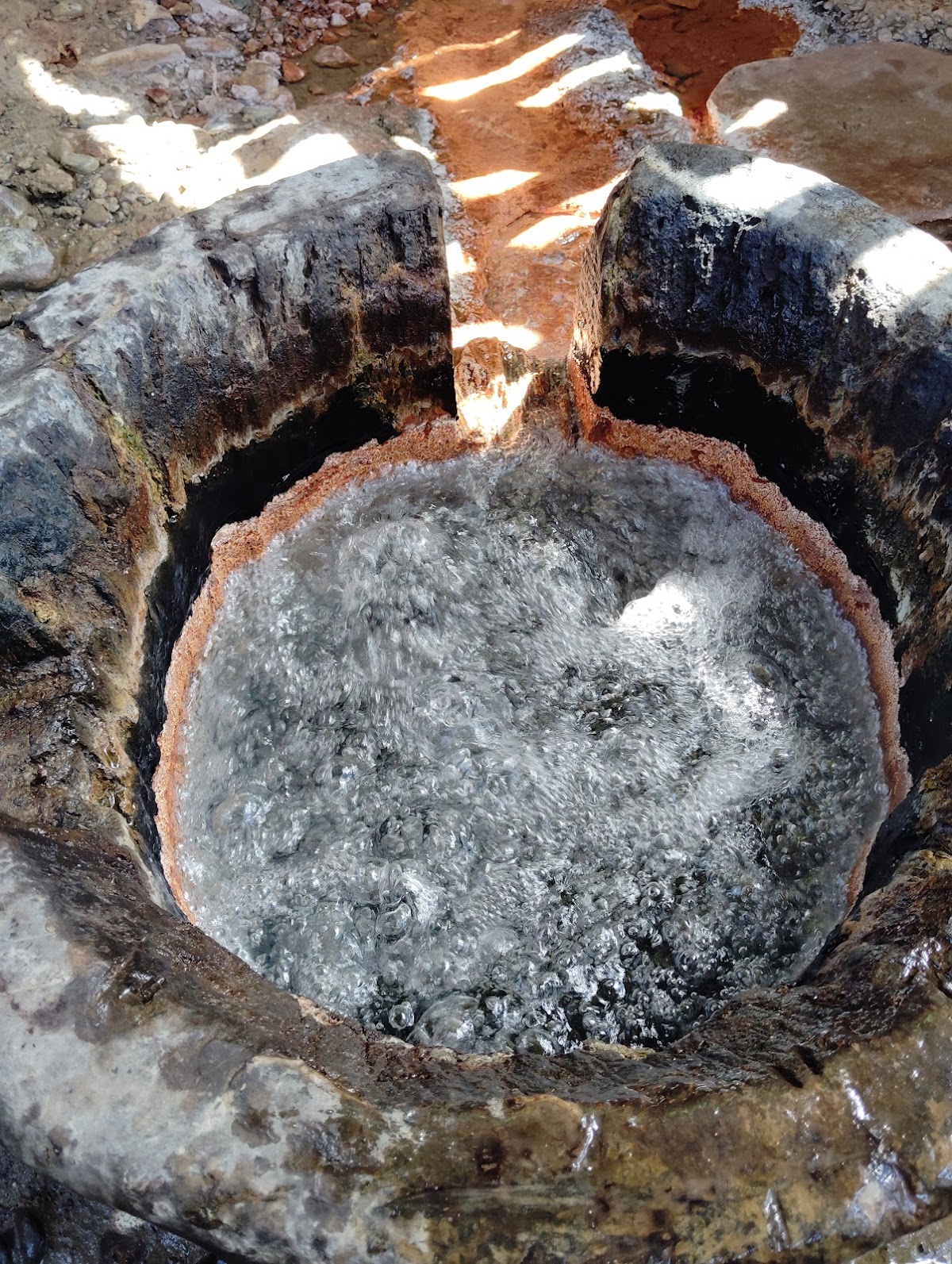 Panorama Poiana Botizii