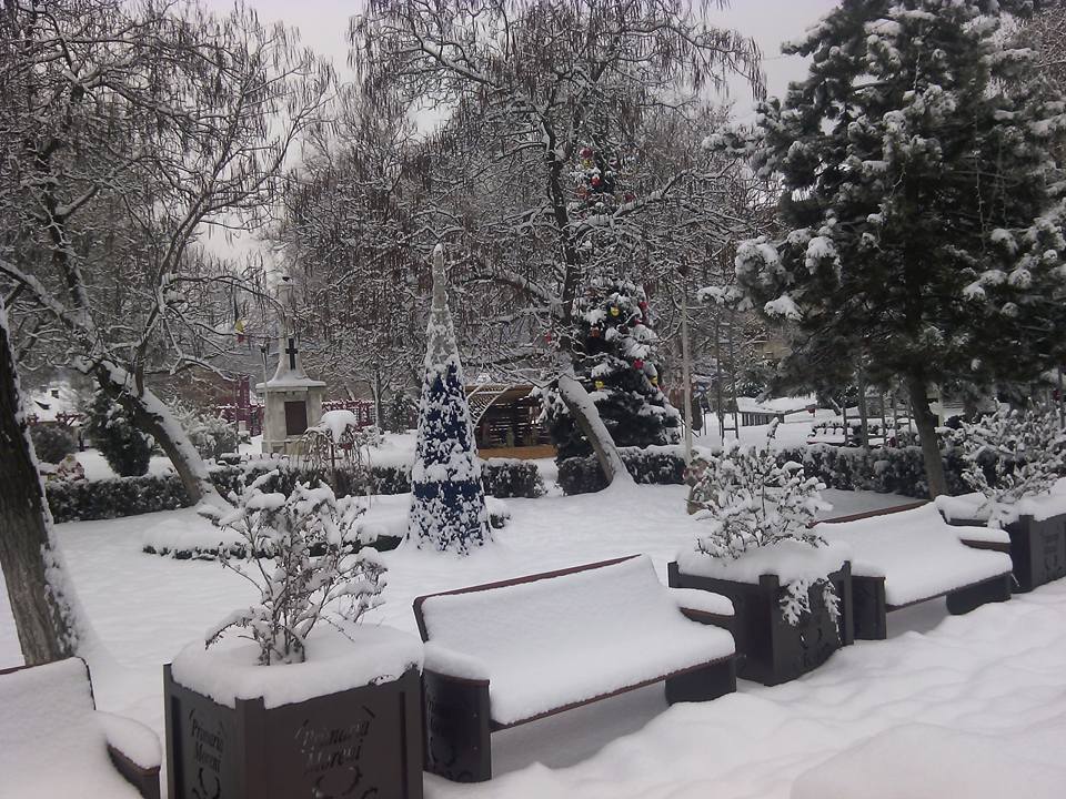 Parque 2