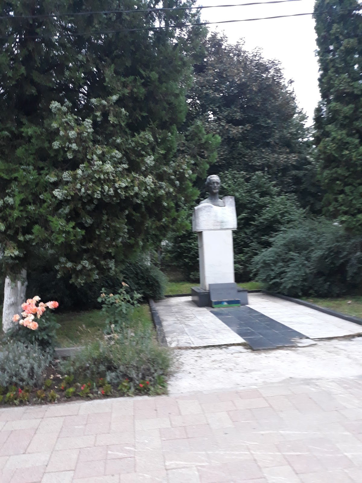 Parco - foto 5