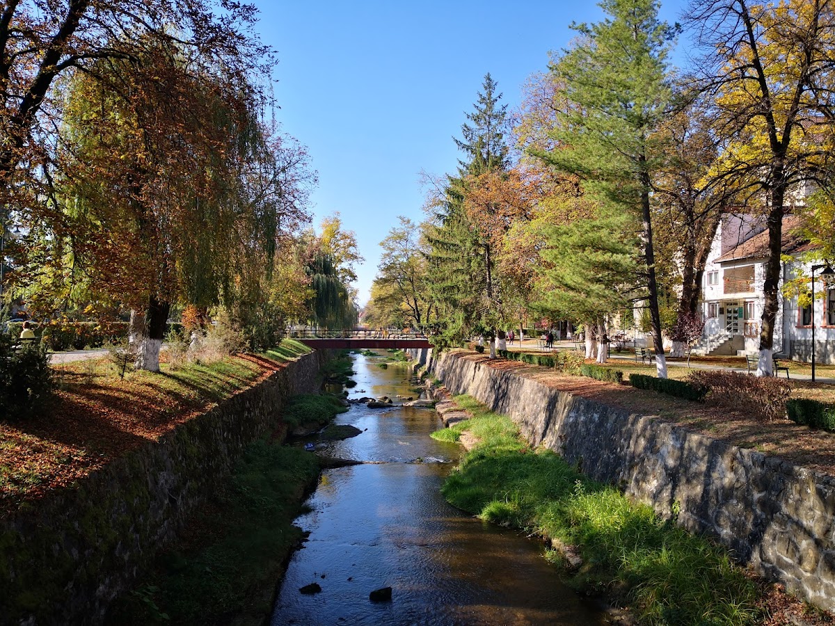 Parque Central Covasna