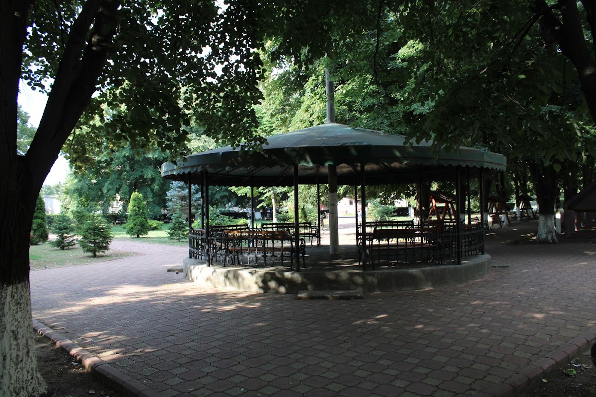 Parque Însurăței