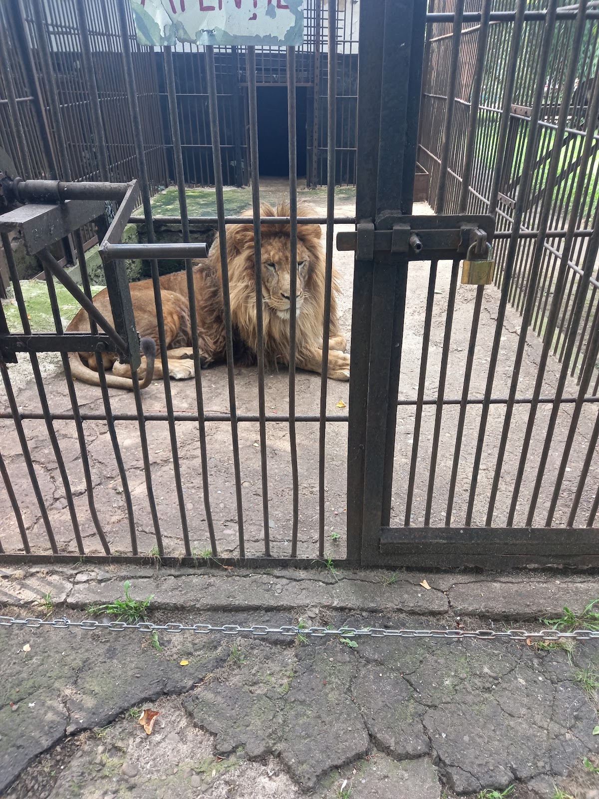 Parque Zoológico Rădăuți
