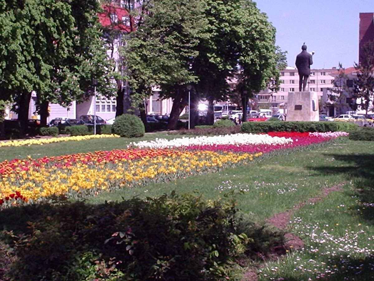 Parcul 1907