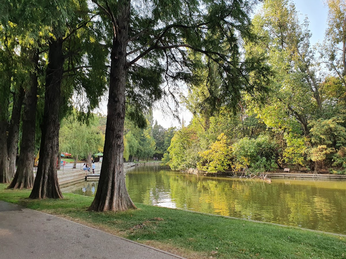 Parque Alexandru Ioan Cuza - foto 2