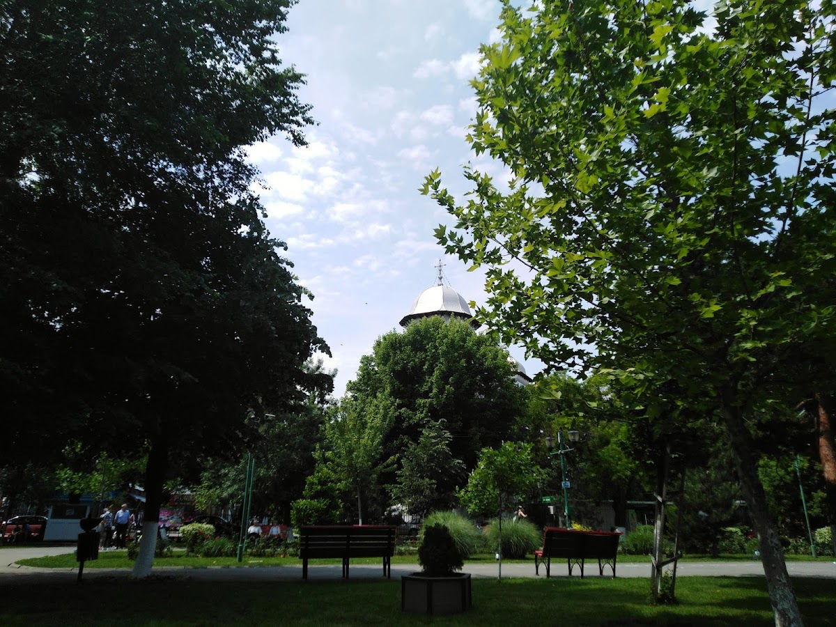 Cathedral Park