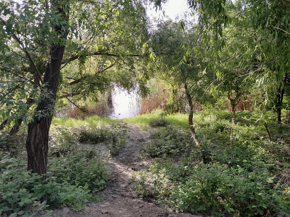 Parque Ecológico "Dobroeşti"
