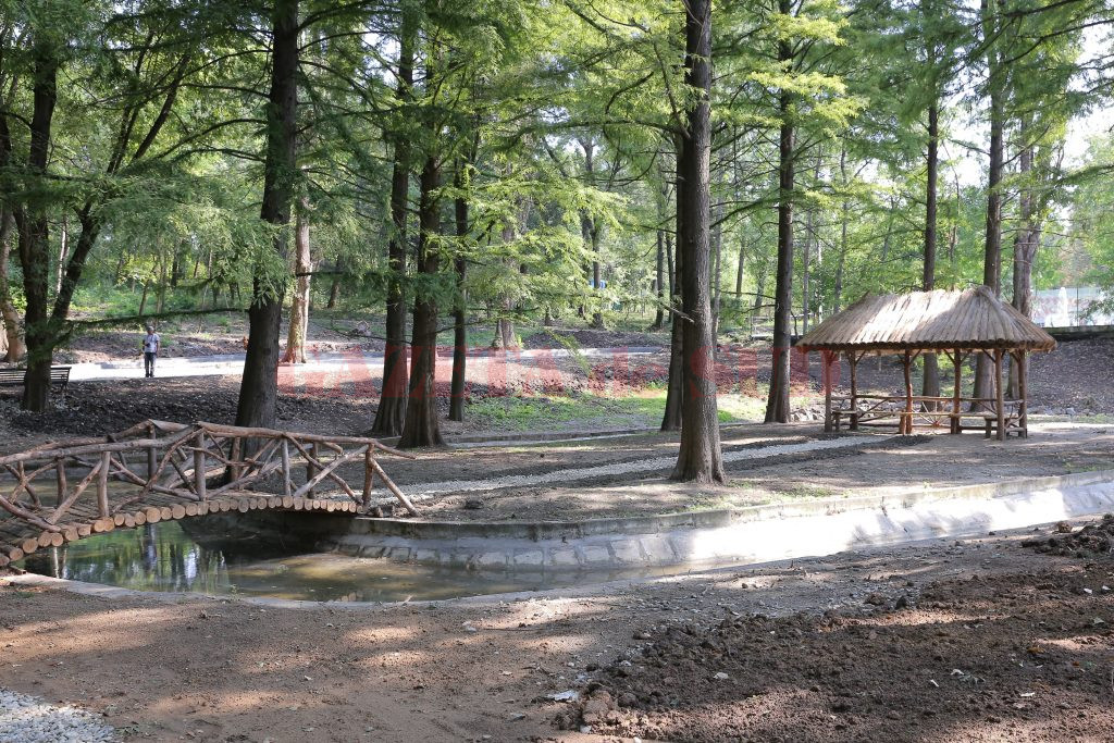 Parque "Hanul doctorului"