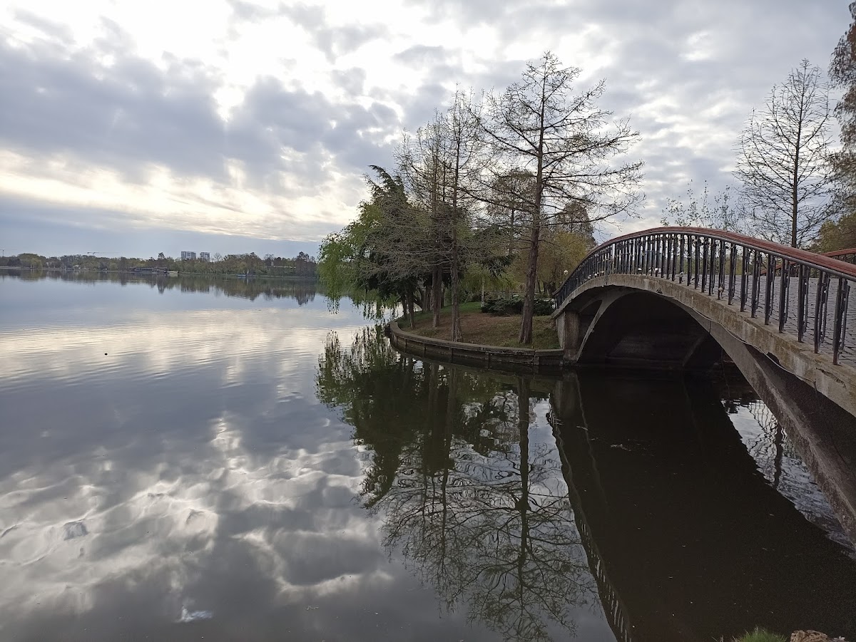 Parcul Herastrau - foto 4
