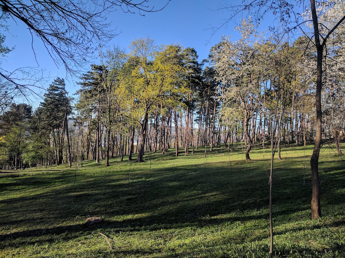 Parque Iuliu Prodan