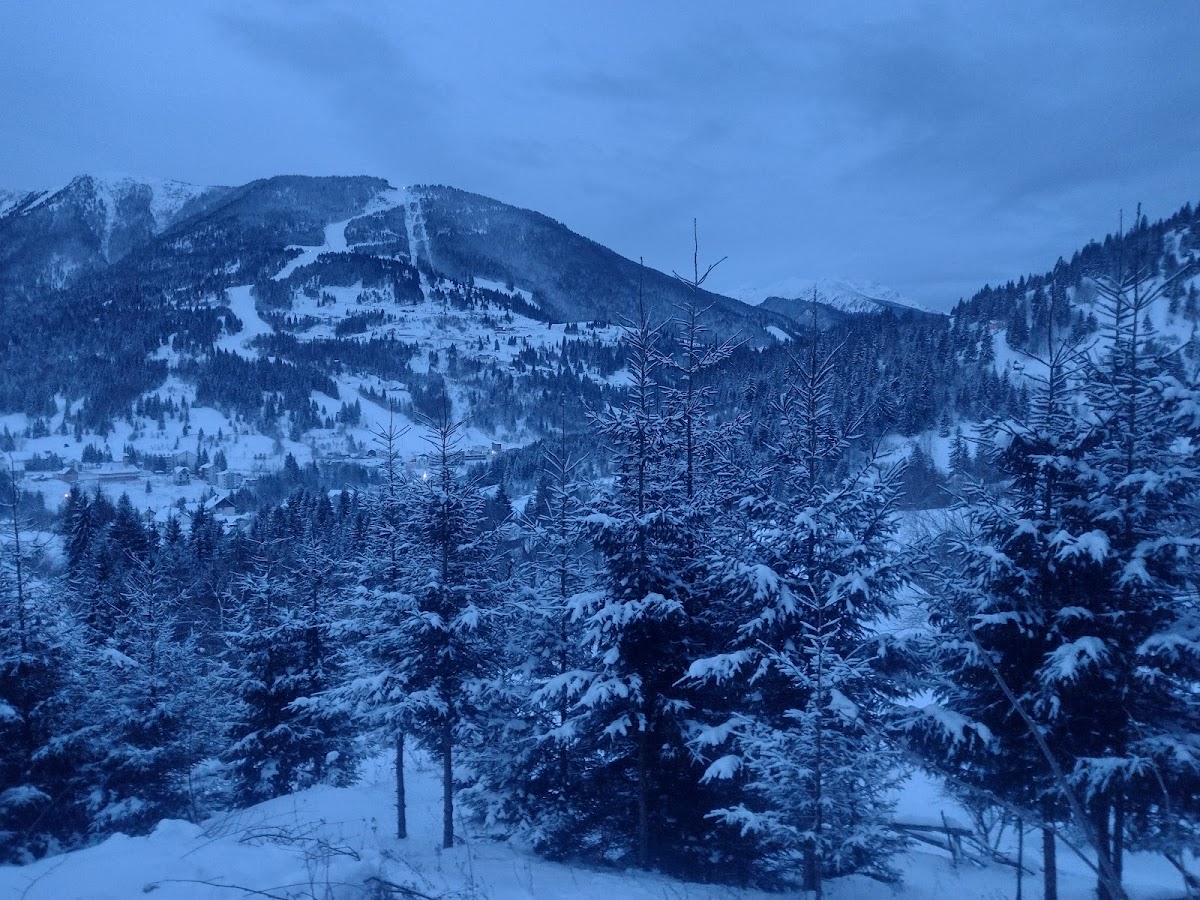 Parco municipale Borşa