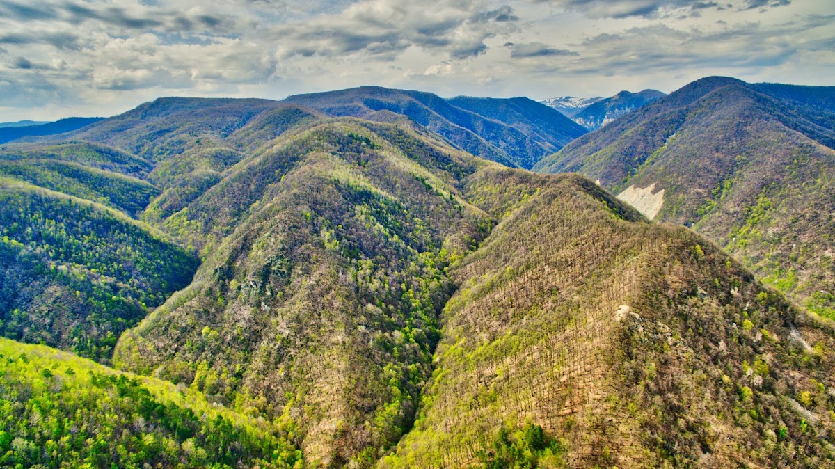 Parque Nacional Defileul Jiului - Centro de Visitantes
