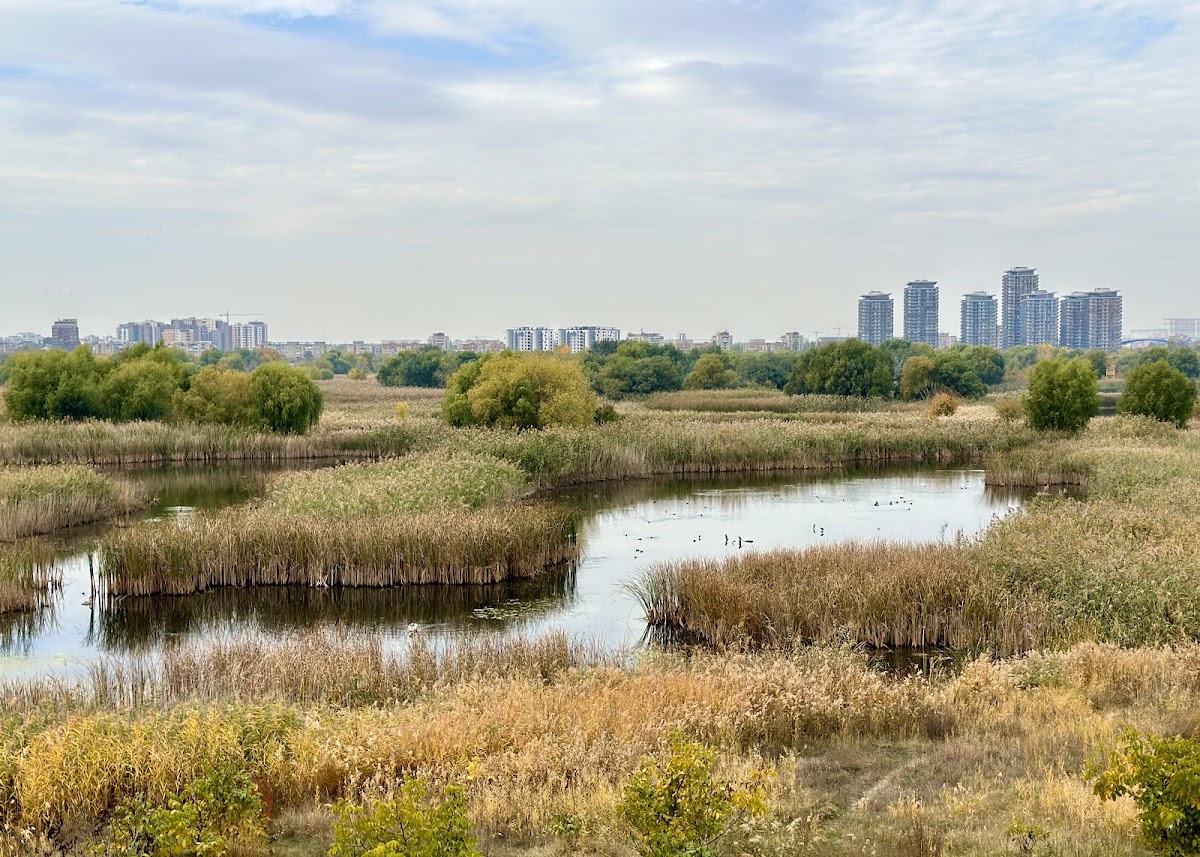 Parque Natural Văcărești