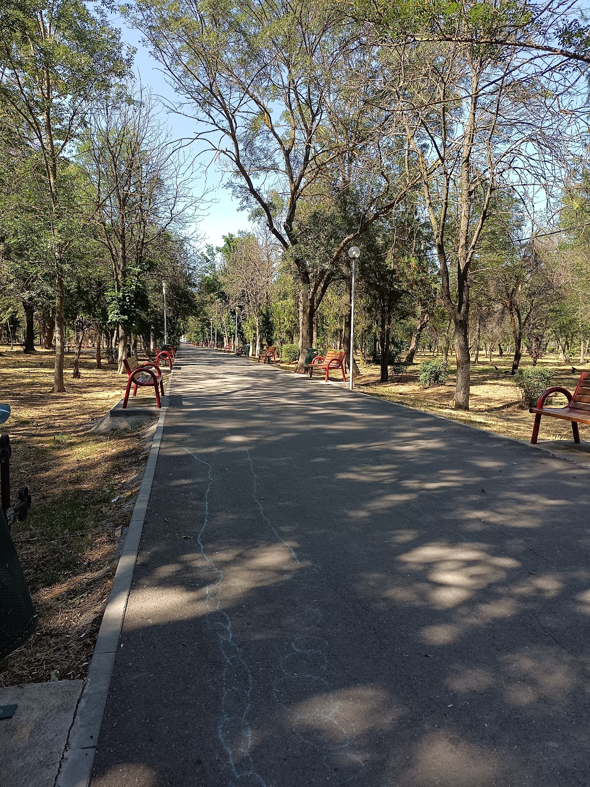 Parque Nicolae Bălcescu