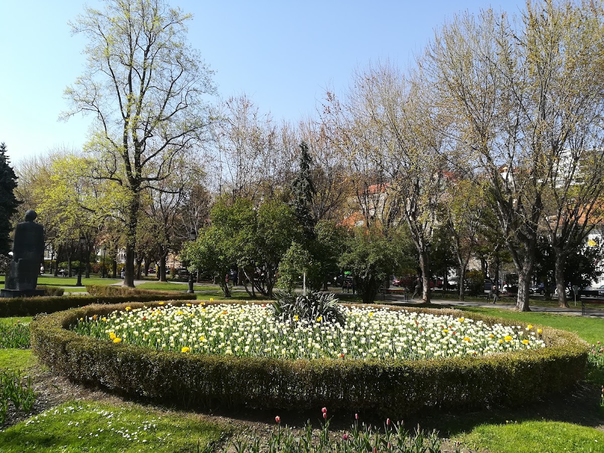 Parque Nicolae Titulescu