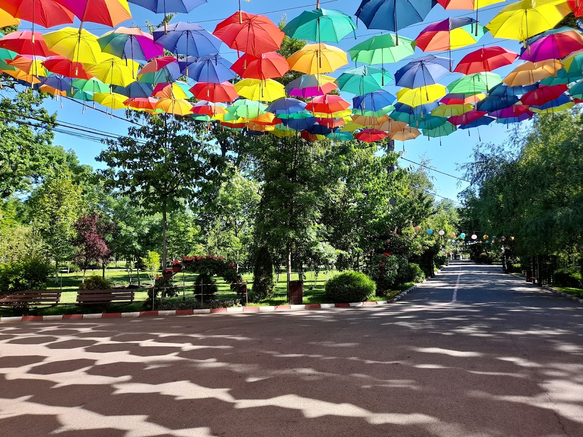 Parque "Pădurea Vedea"
