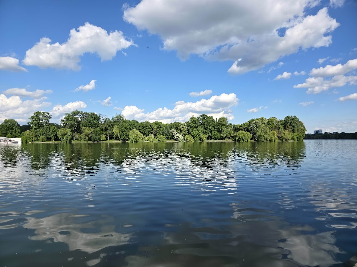 'Regele Mihai I' Park