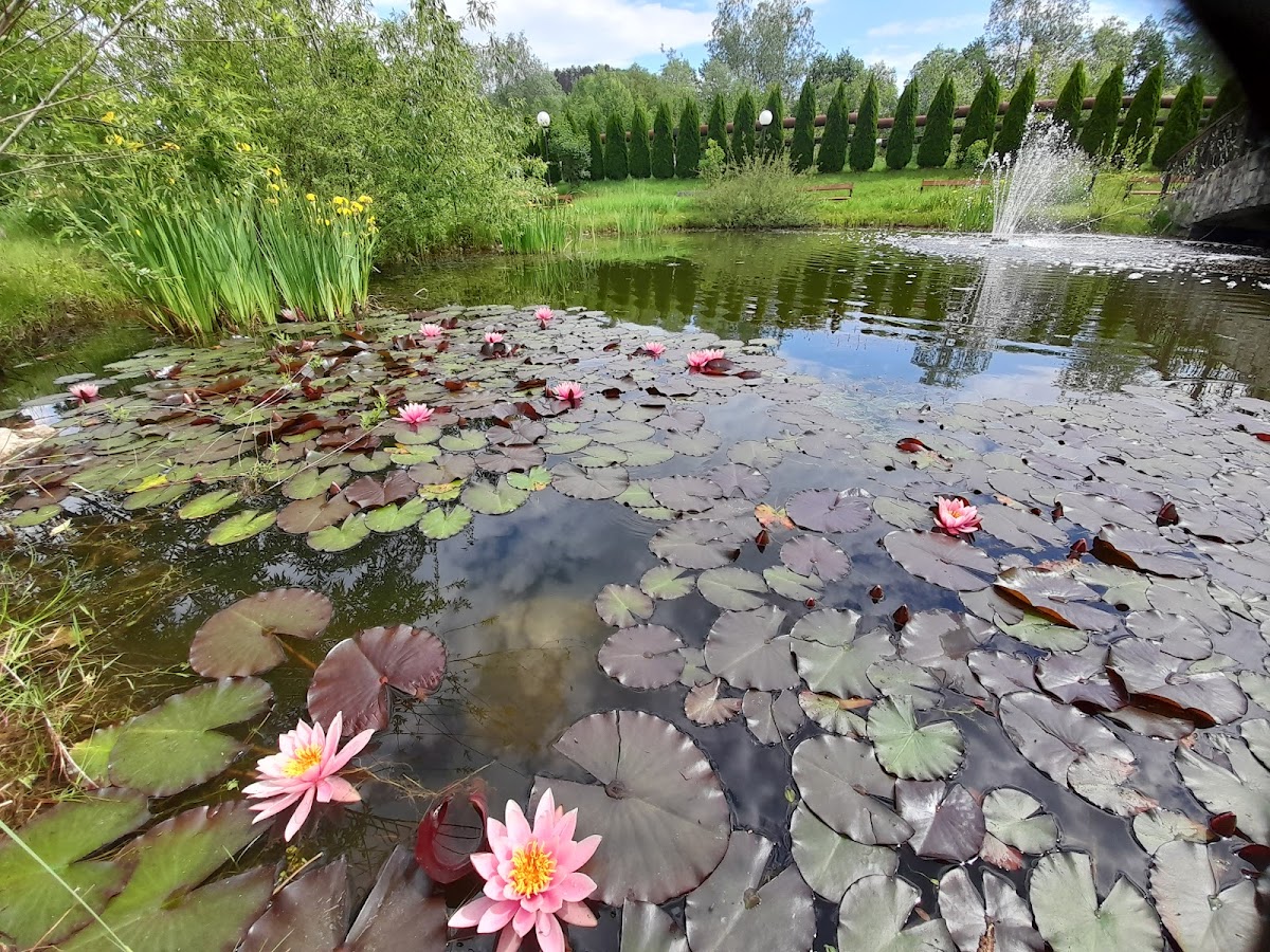 Parque Tineretului