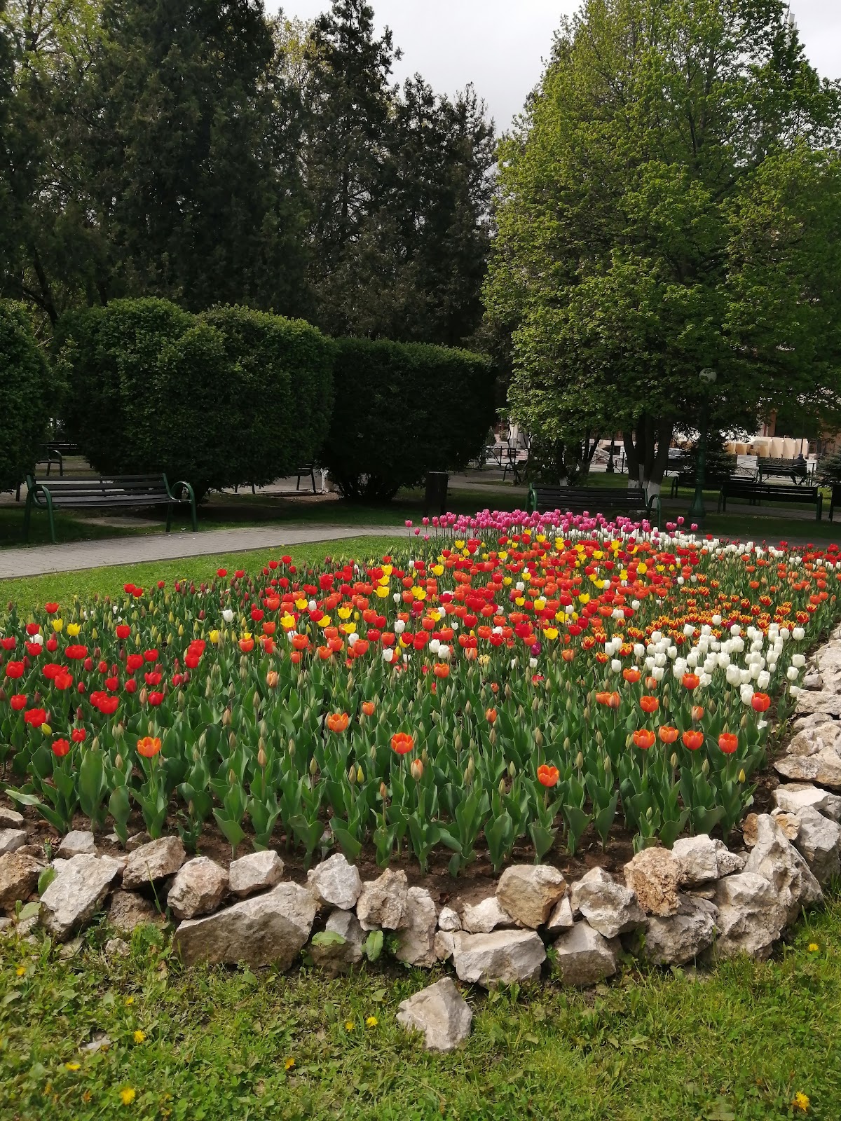 Parque Viejo