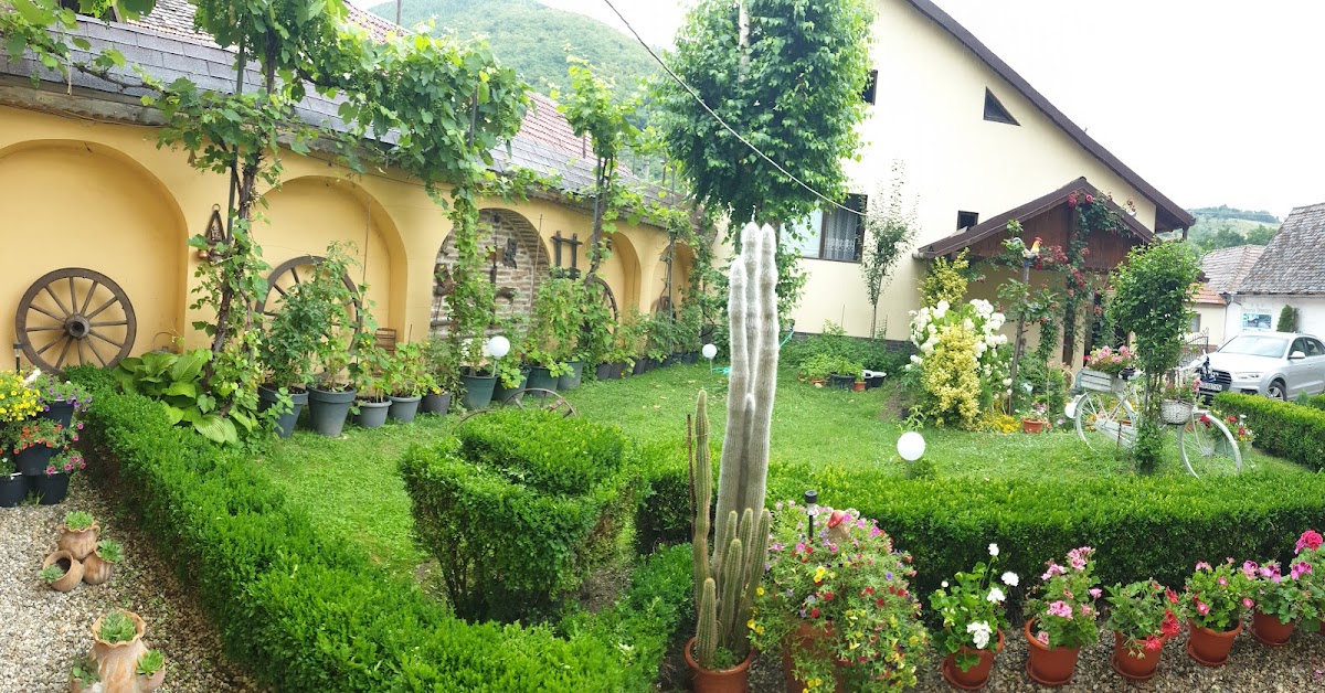 Pensiunea Domnescu