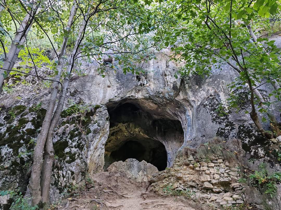Cueva de los Murciélagos