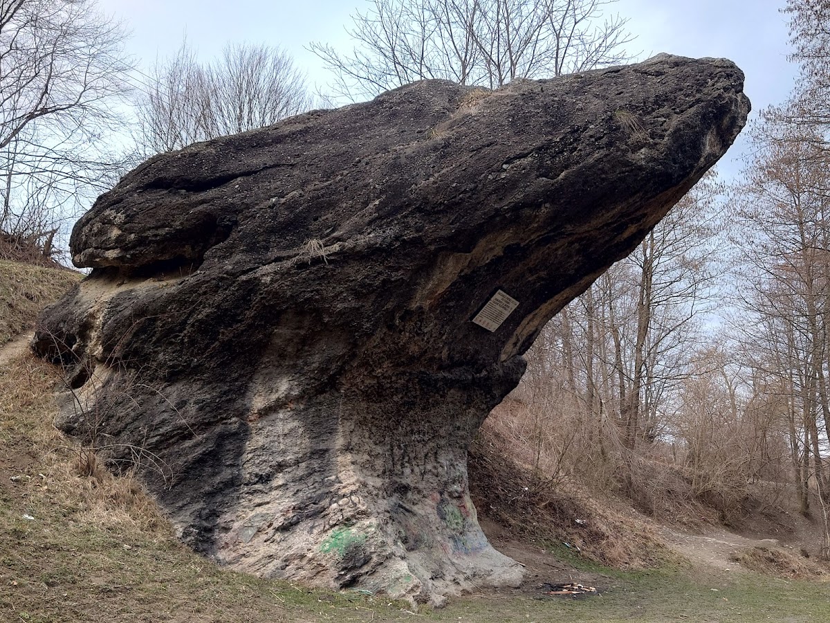 Piatra Broaștei - Caliza Cretácica - Monumento Natural Protegido