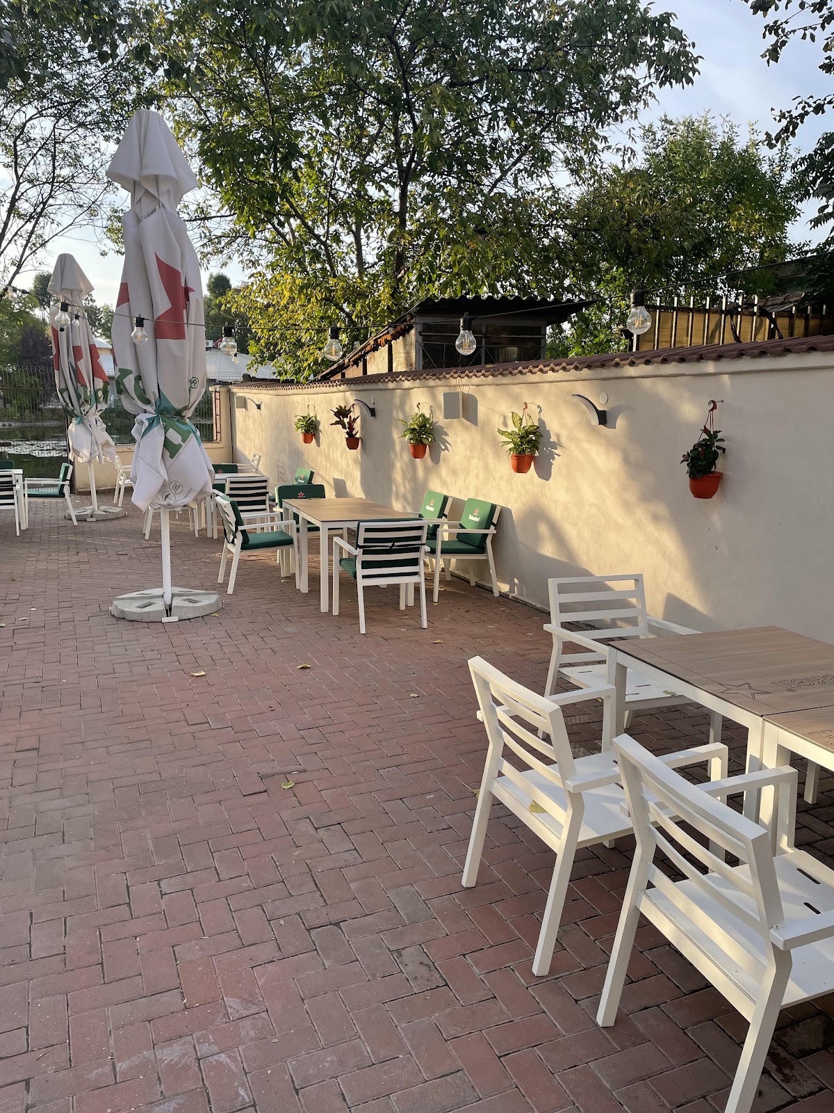 比萨店 "Don Luciano"
