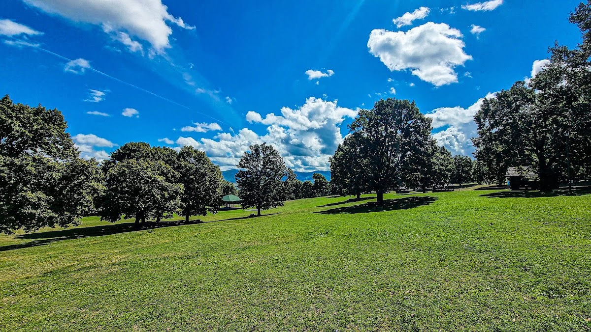 Poiana cu Goruni