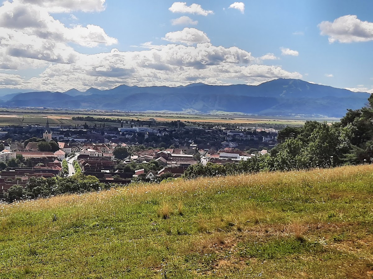 Poiana Mărul Dulce