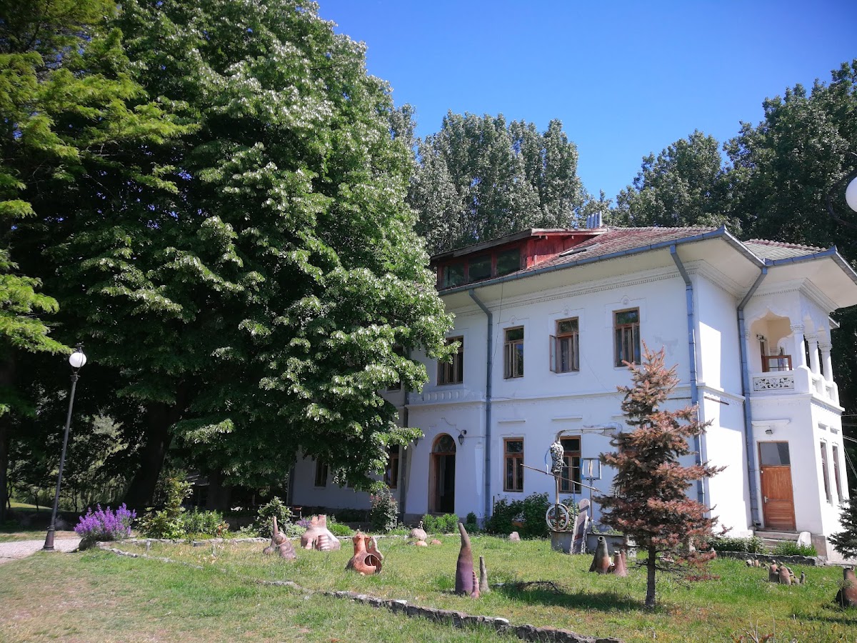 Cetate Község Kulturális Kikötője