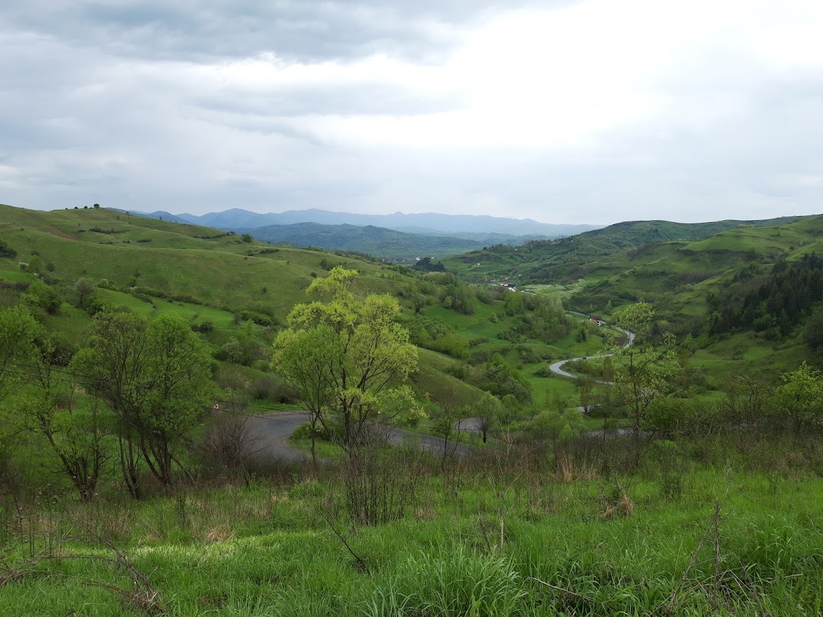 乡村小径 Bocicoel