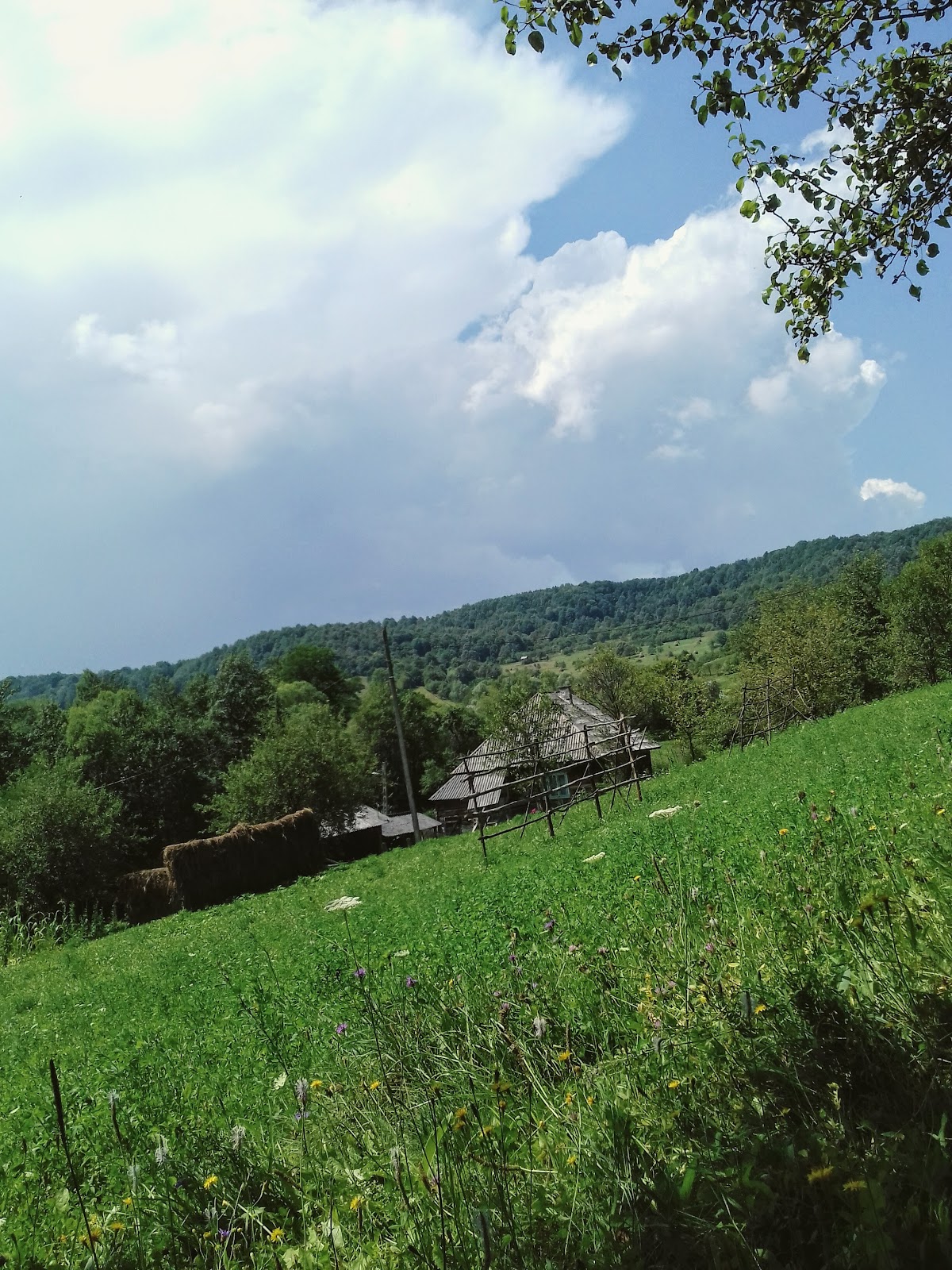 Rural paths of Slatioara