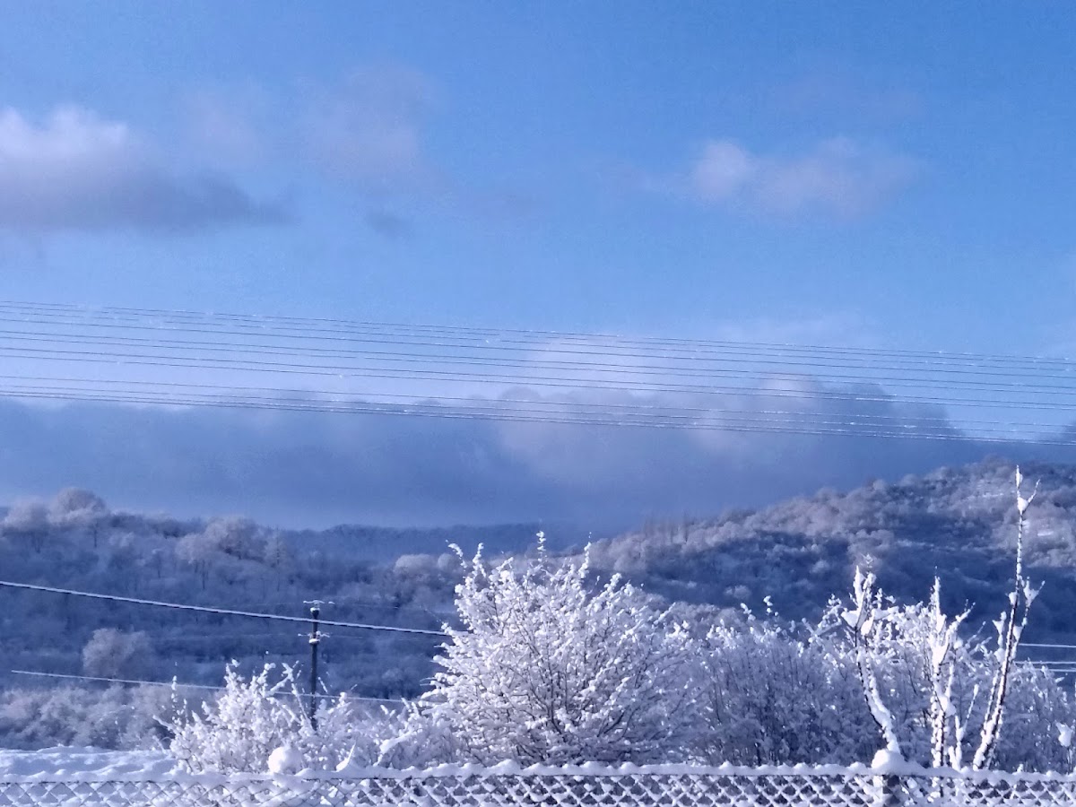 乡村小径 Valea Hotarului