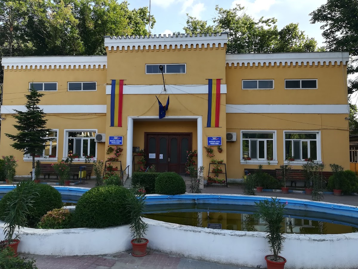Primăria Poiana Mare