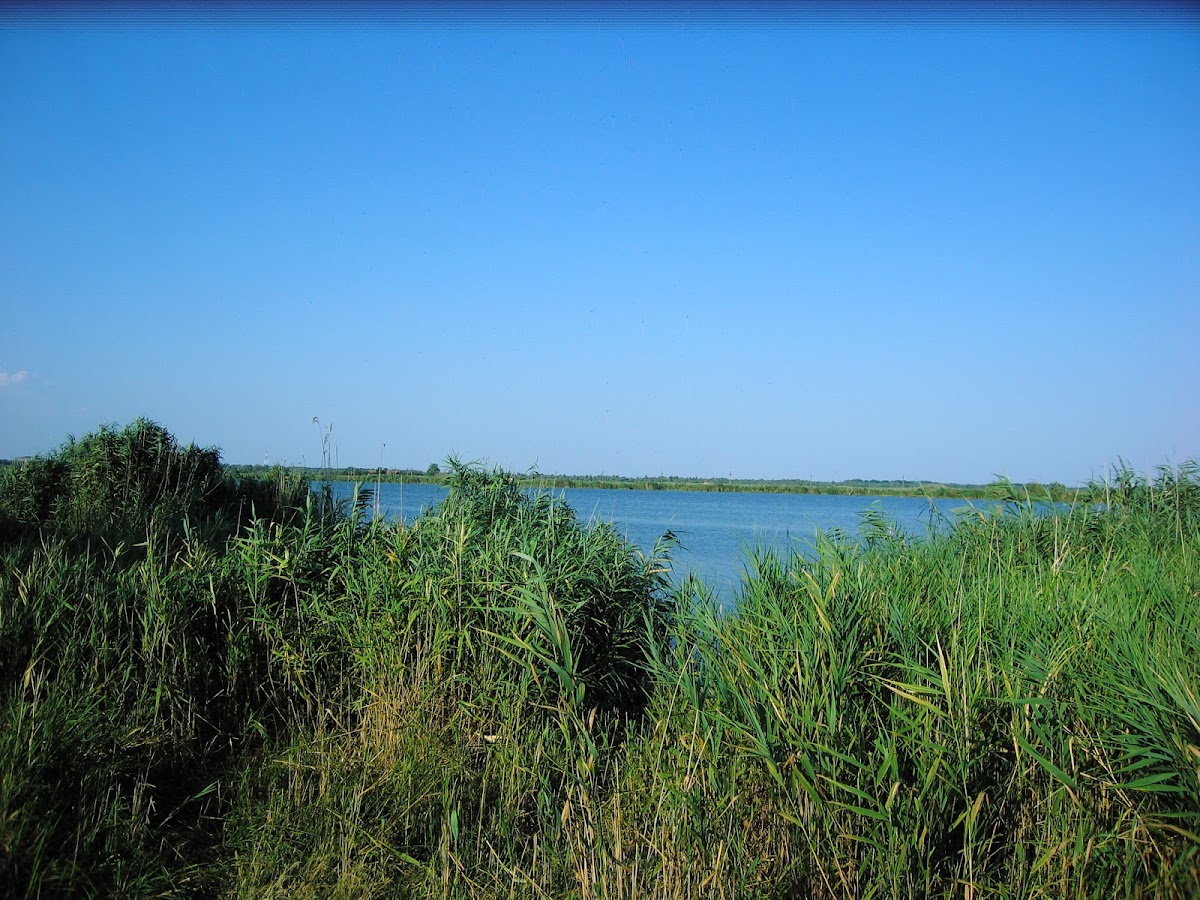 Agighiol Geological Reserve