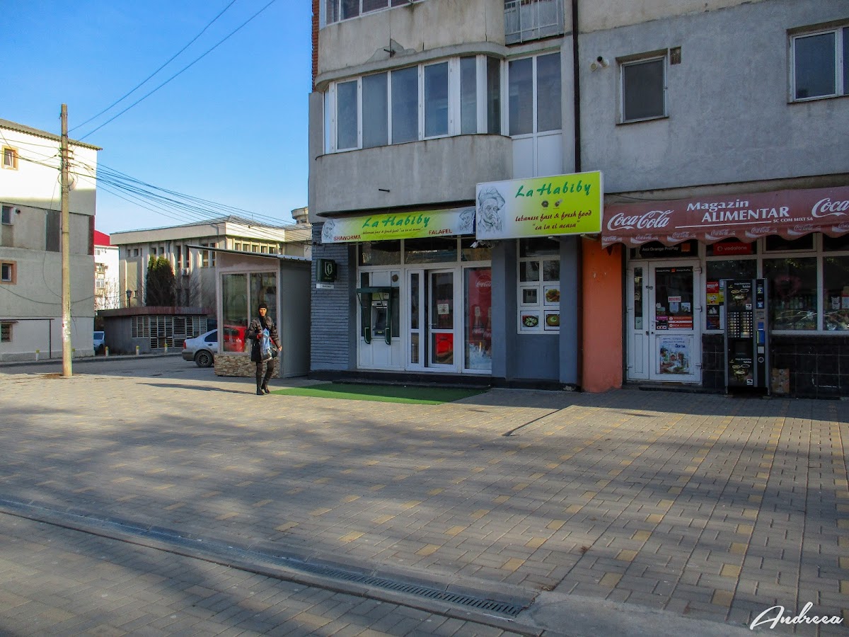 S.C. La Habibi S.R.L