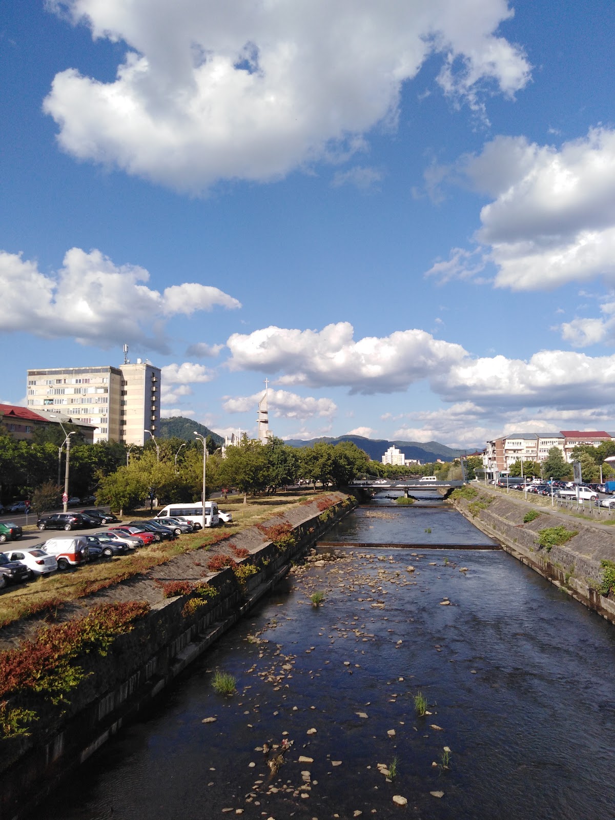Săsar
