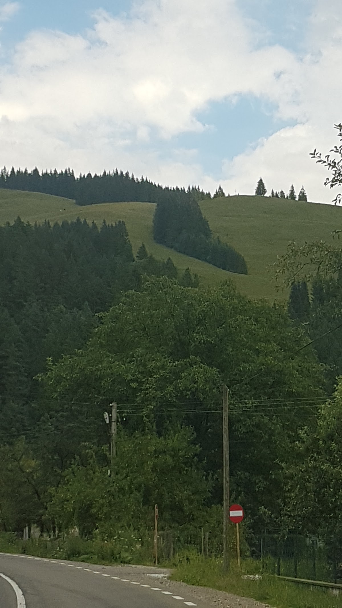 Săvinești