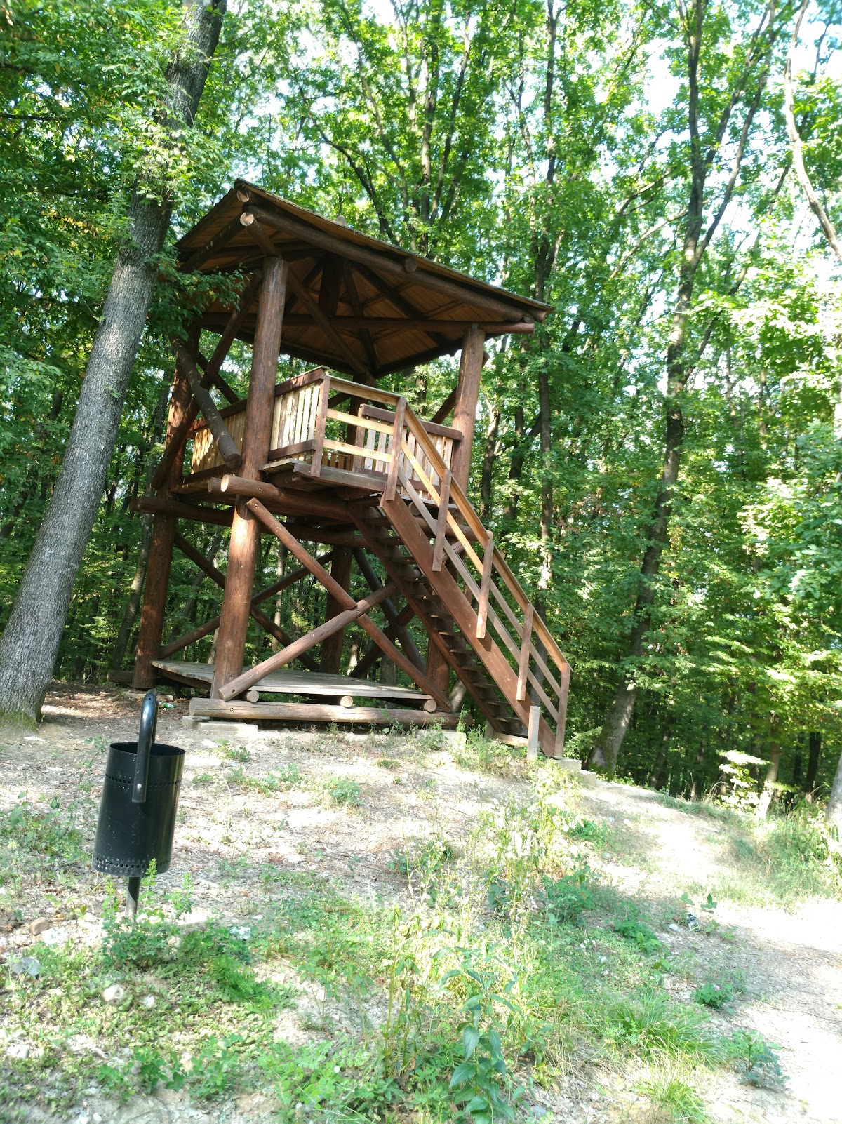 Schullerwald