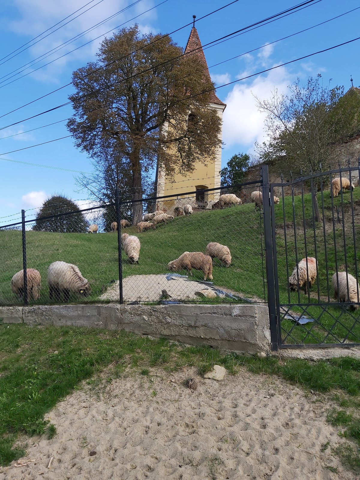 Torre Inclinada de Ruși