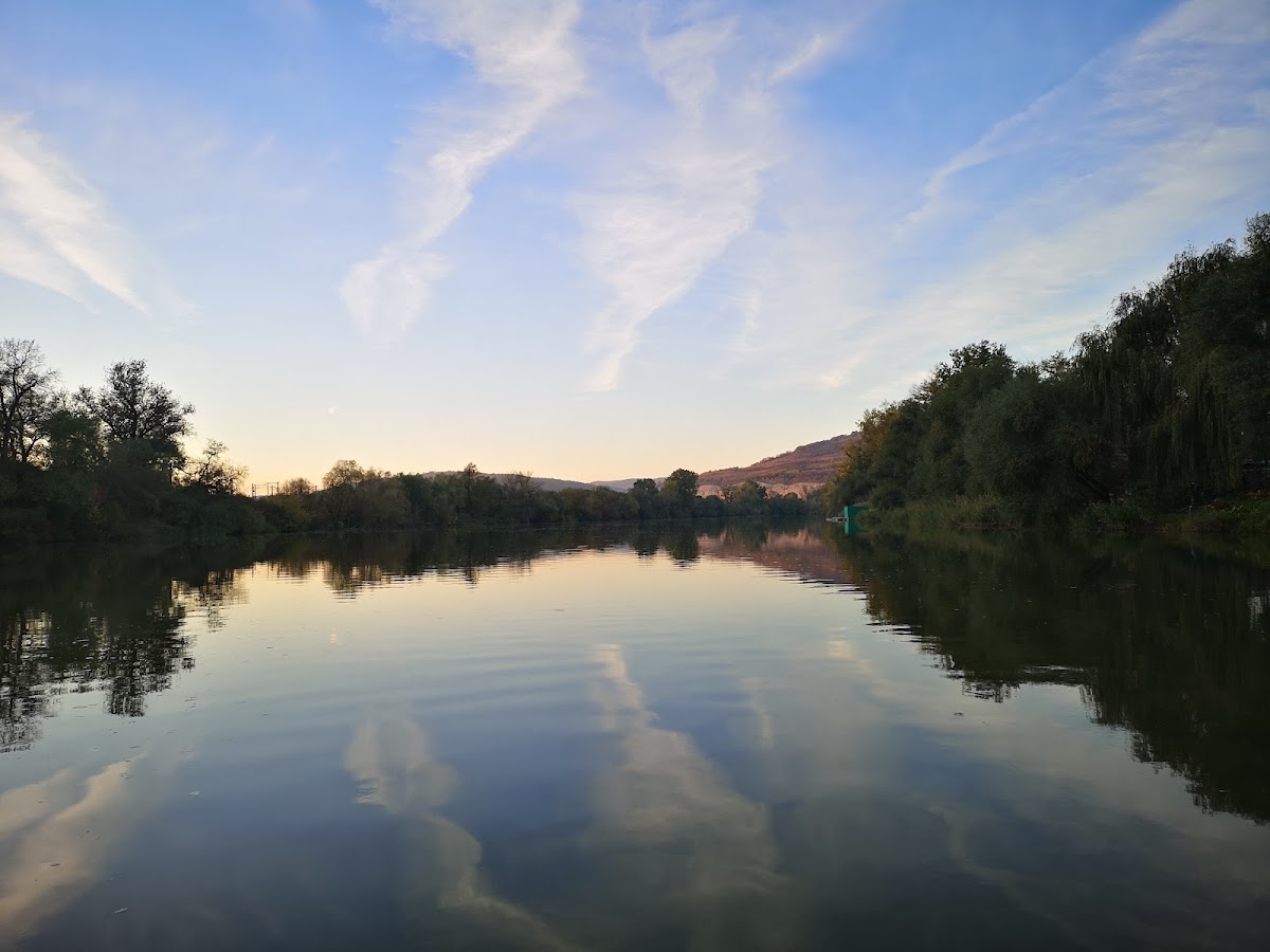Barco Șoimuș