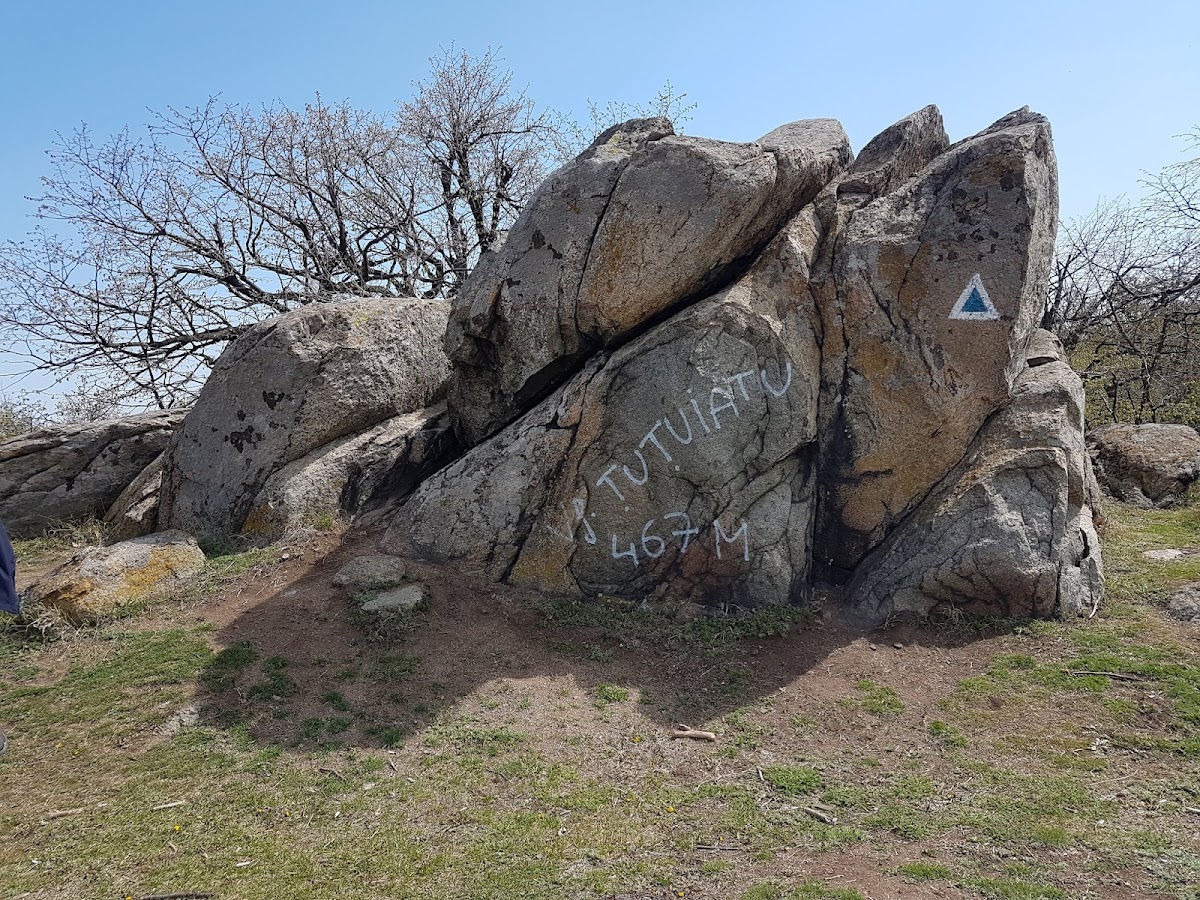 Vârful Țuțuiatu (467m)