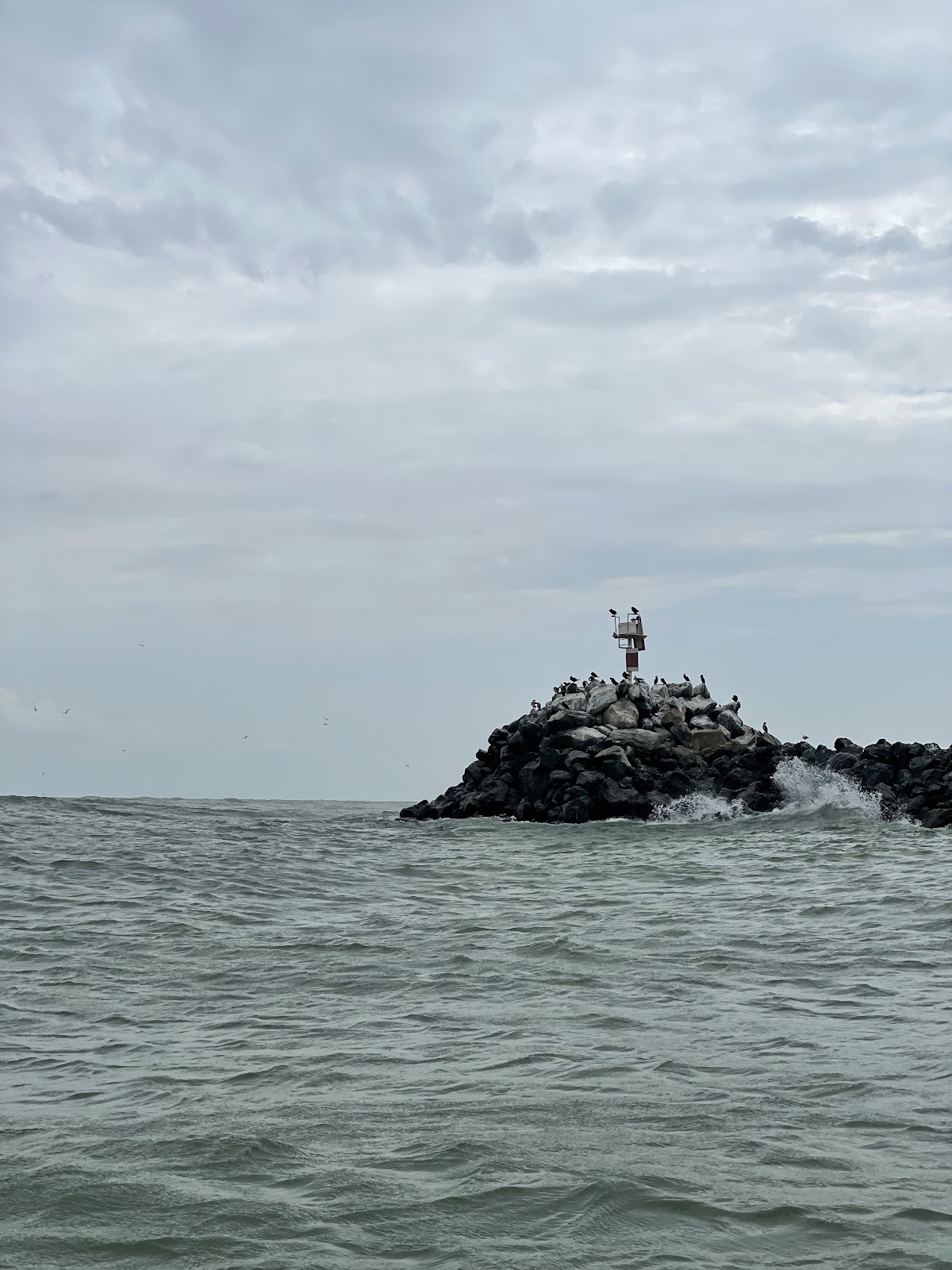 Desembocadura del Danubio en el Mar Negro - Sulina