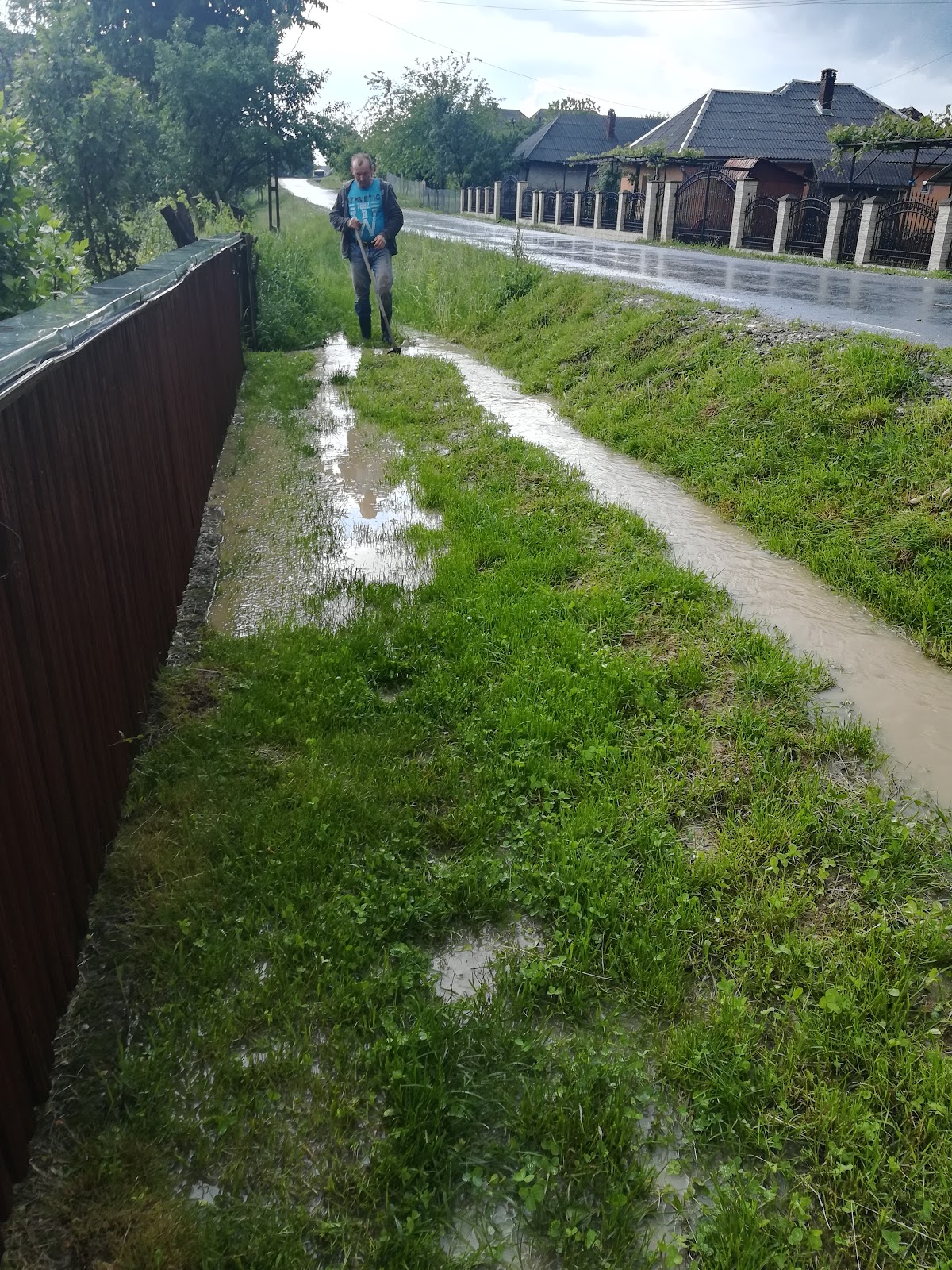 Viata rurala Băiţa de sub Codru