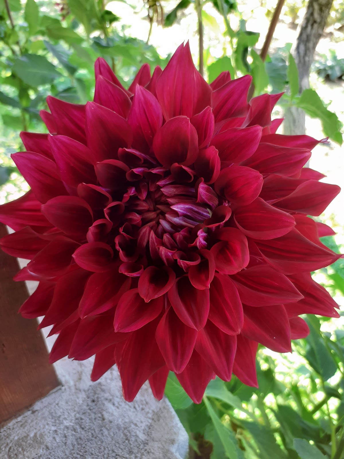 Viata rurala Tămaia