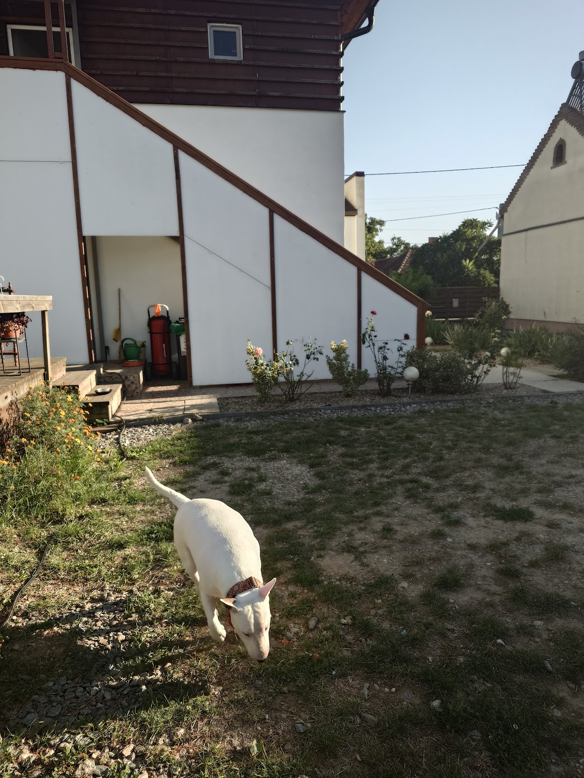 Vila Onix