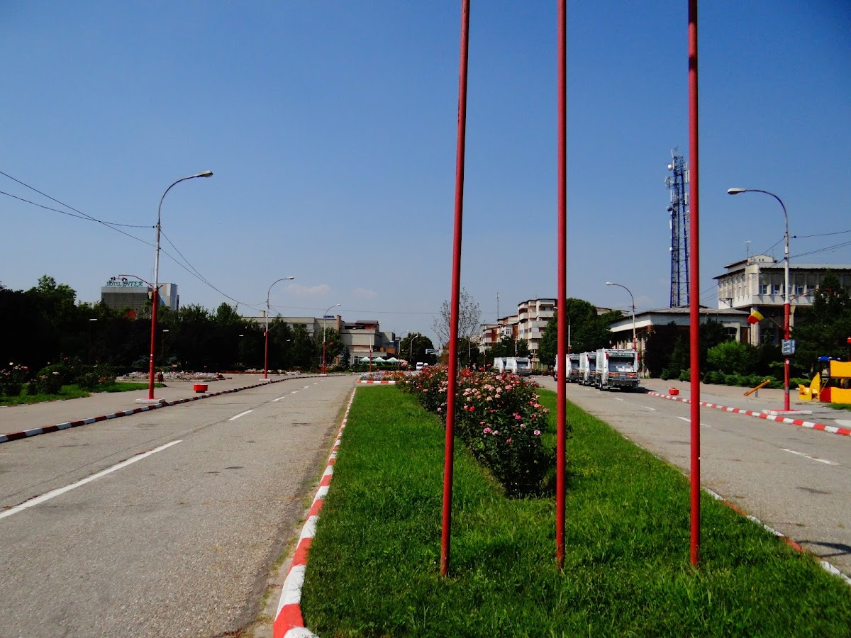 Zimnicea