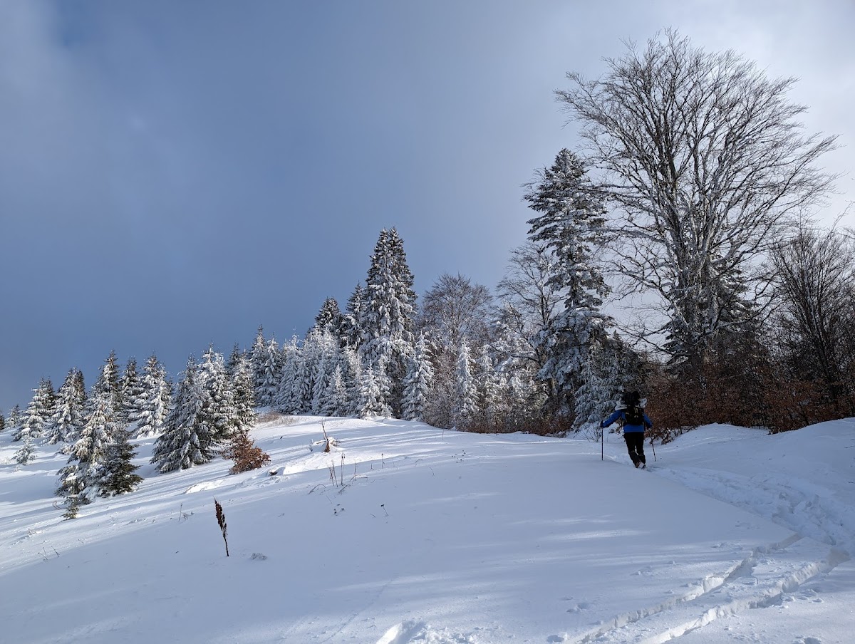 Recreation areas of Grosii Tiblesului
