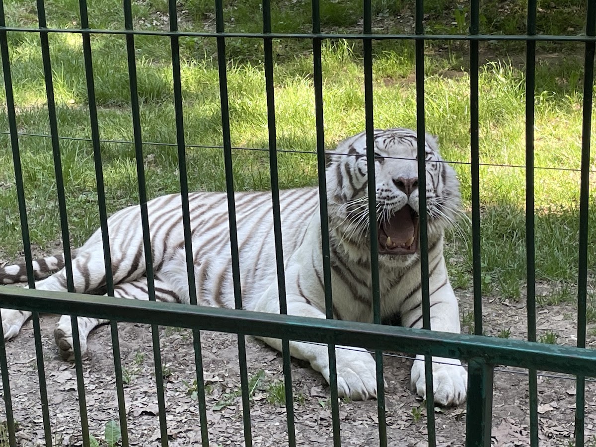 Zoo Sibiu